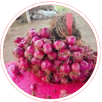 suplayer (25)